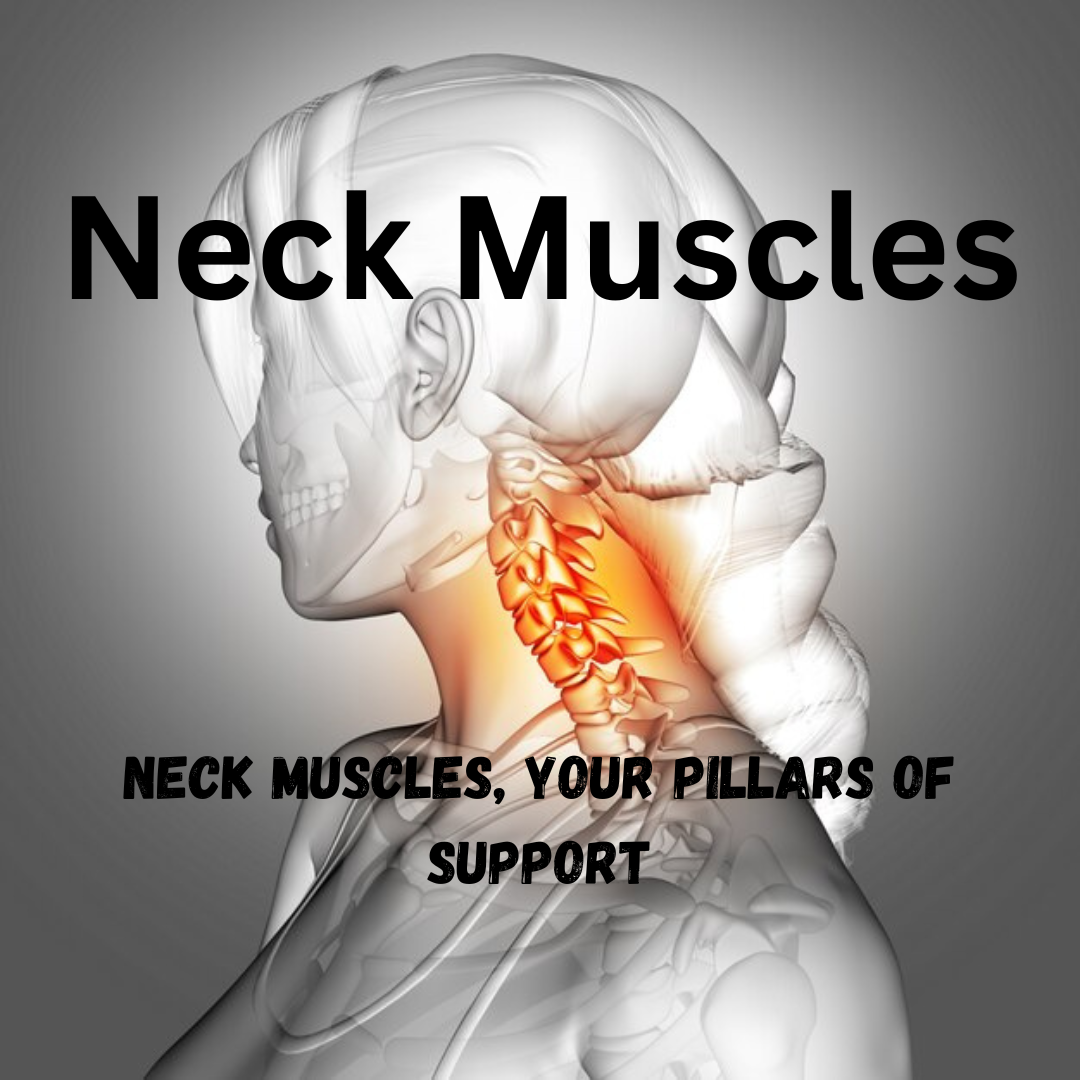 Neck MusclesUnlock 7 Powerful Tips for a Positively Strong